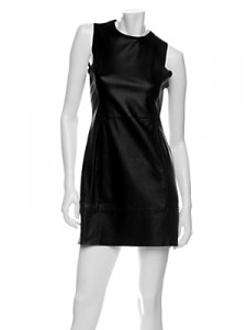 rag-and-bone-leather-dress