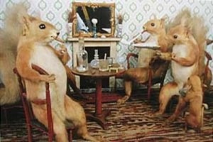 squirrels being cool